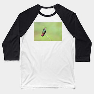 Rufous-tailed hummingbird – Costa Rica Baseball T-Shirt